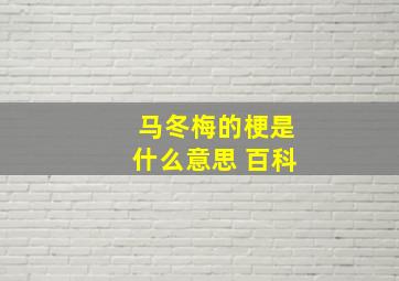 马冬梅的梗是什么意思 百科